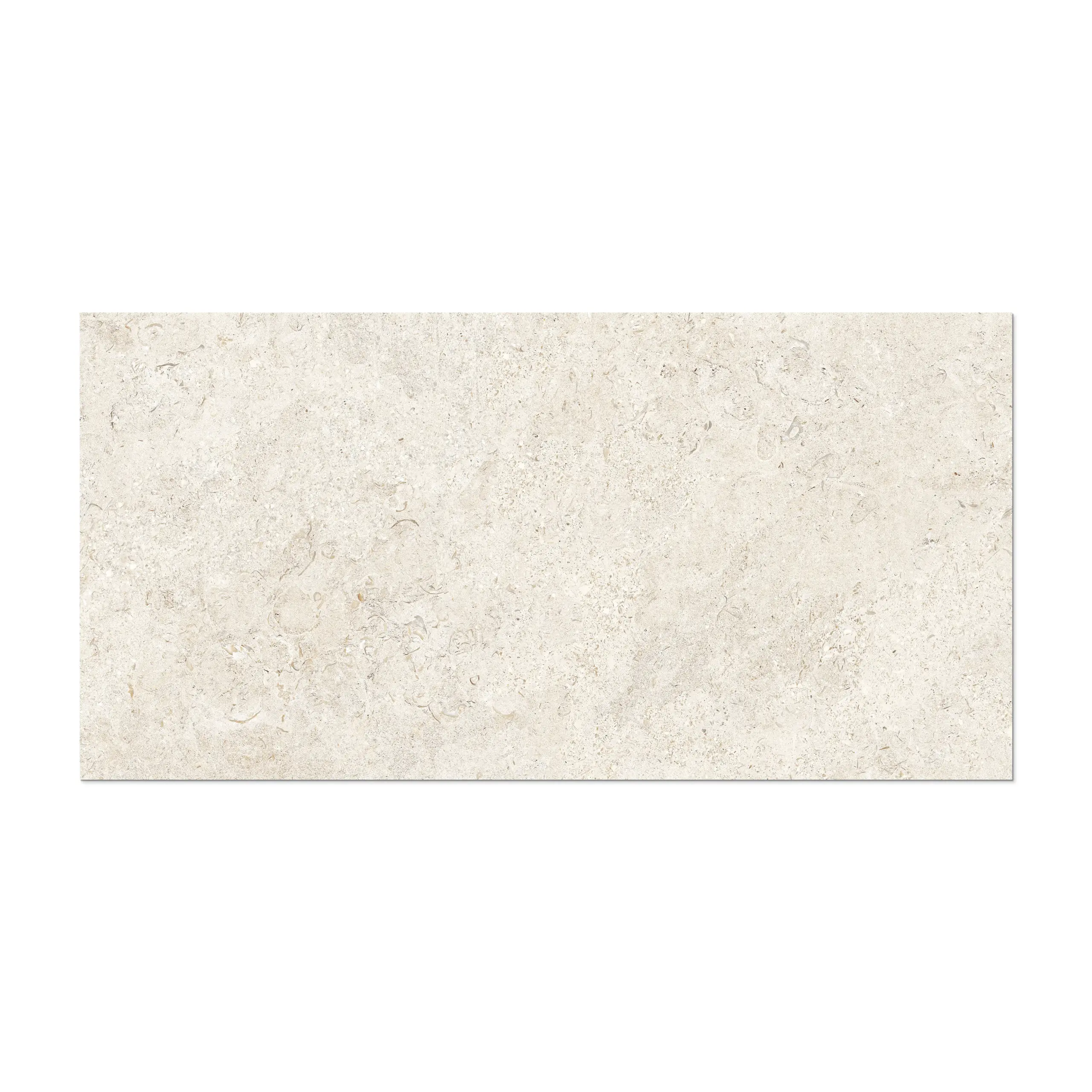 Shellstone OffWhite 24X48 Matte Porcelain Tile in iTileMosaic